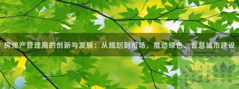 新宝5线路登录检测：房地产管理局的创新与发展：从规划到市场，
