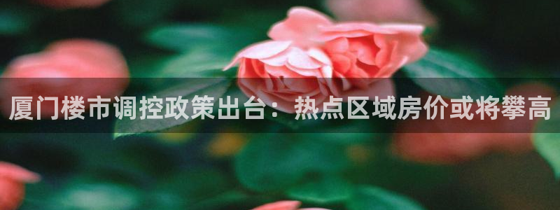 新宝5吕74OOO5：厦门楼市调控政策出台：热点区域房价或将