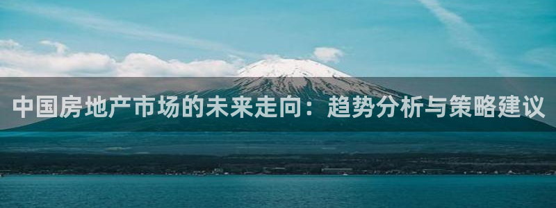 新宝5平台注册资金：中国房地产市场的未来走向：趋势分析与策略