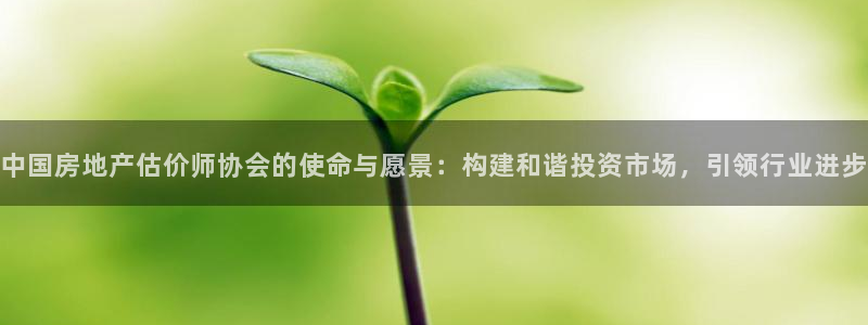 新宝5测：中国房地产估价师协会的使命与愿景：构建和谐投资市场