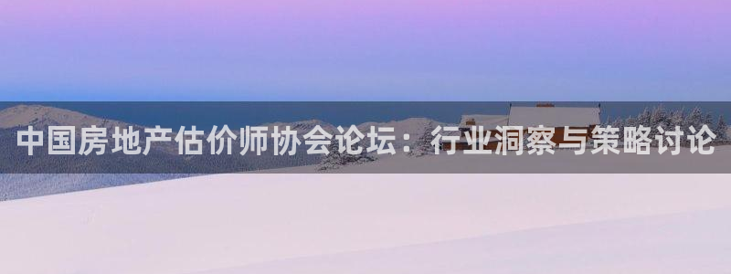 新宝m2O5O5O：中国房地产估价师协会论坛：行业洞察与策略