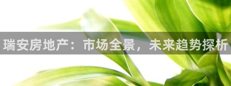 新宝5娱乐方：瑞安房地产：市场全景，未来趋势探析