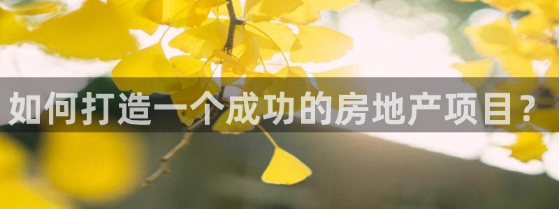 新宝5测速平台登录：如何打造一个成功的房地产项目？