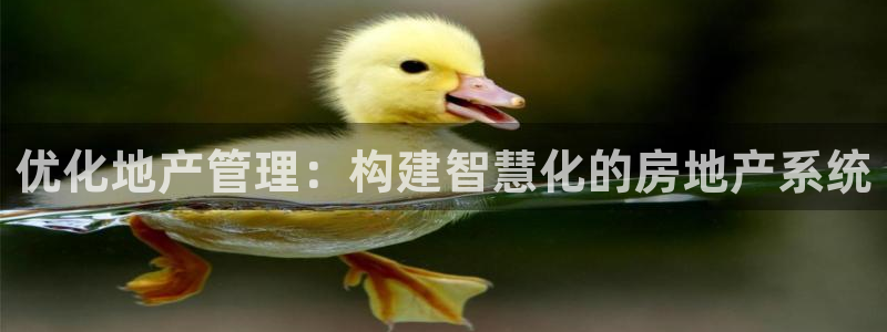 新宝5如何下载：优化地产管理：构建智慧化的房地产系统