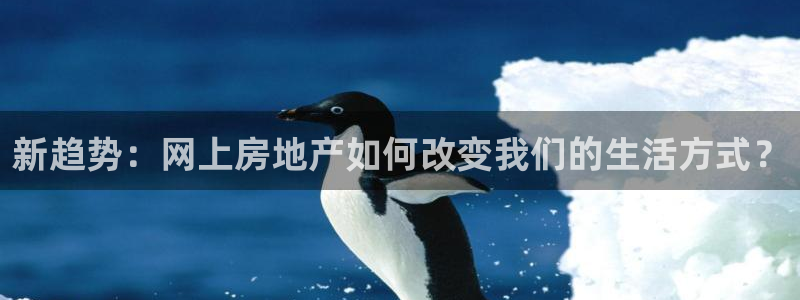 新宝5登录不了：新趋势：网上房地产如何改变我们的生活方式？