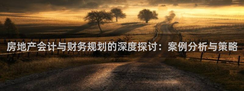 新宝5分彩：房地产会计与财务规划的深度探讨：案例分析与策略