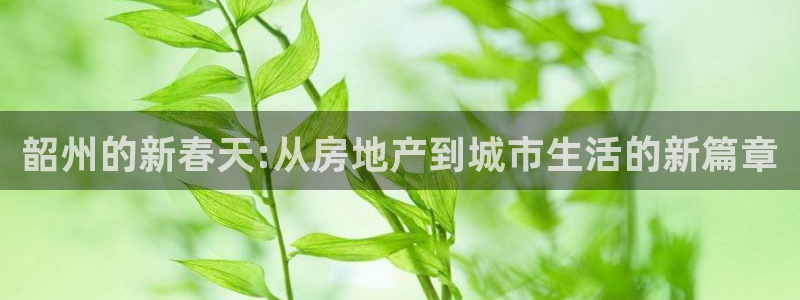 新宝5开户：韶州的新春天:从房地产到城市生活的新篇章