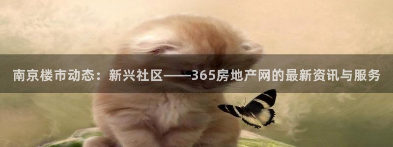 新宝5登录入口网址：南京楼市动态：新兴社区——365房地产网