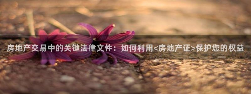 新宝测速5：房地产交易中的关键法律文件：如何利用<房地产证>