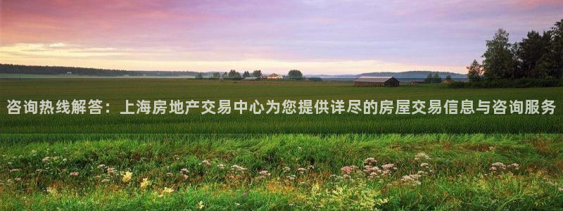 新宝5娱乐没：咨询热线解答：上海房地产交易中心为您提供详尽的