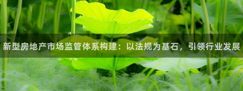 新宝5官网平台：新型房地产市场监管体系构建：以法规为基石，引