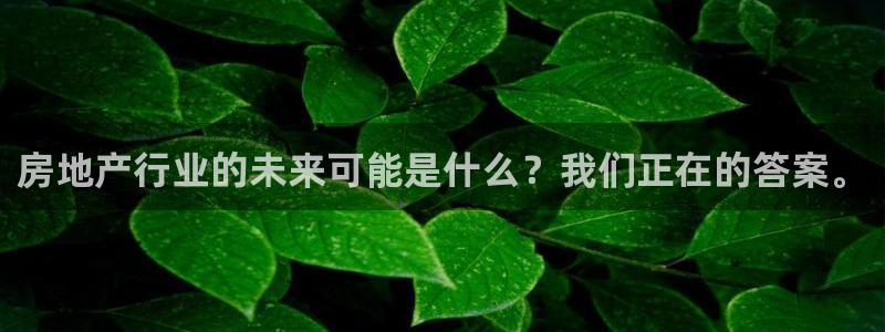 新宝5平台注册资金：房地产行业的未来可能是什么？我们正在的答