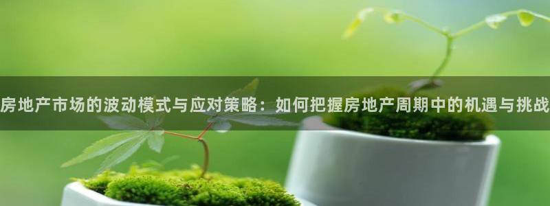 新宝 5测速：房地产市场的波动模式与应对策略：如何把握房地产