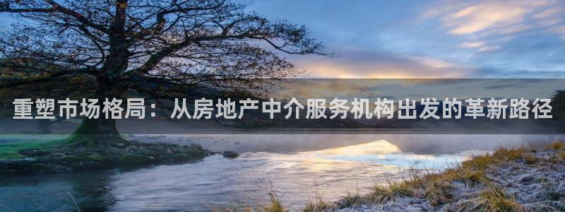 新宝5娱乐经：重塑市场格局：从房地产中介服务机构出发的革新路