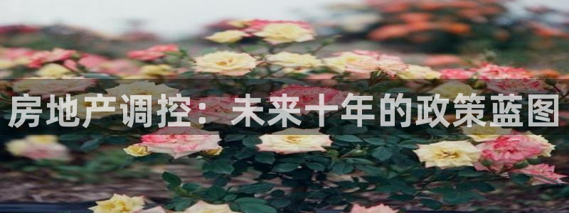 新宝5注册霸：房地产调控：未来十年的政策蓝图