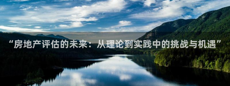 新宝h2O5O5O：“房地产评估的未来：从理论到实践中的挑战