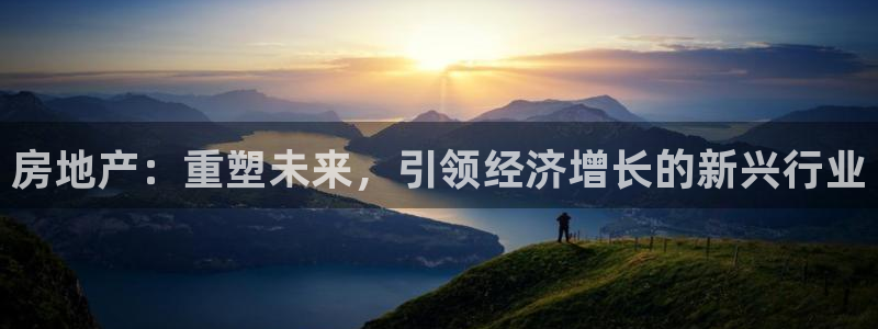 新宝5线路：房地产：重塑未来，引领经济增长的新兴行业