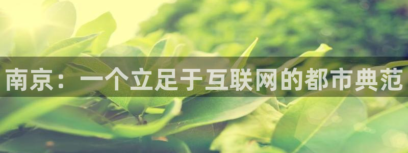 新宝rm5：南京：一个立足于互联网的都市典范