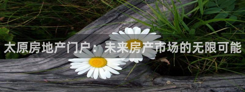 新宝5骗术：太原房地产门户：未来房产市场的无限可能