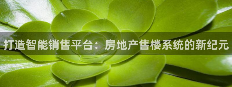 新宝5网：打造智能销售平台：房地产售楼系统的新纪元