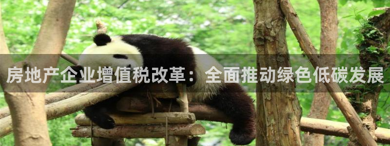 新宝5可靠吗：房地产企业增值税改革：全面推动绿色低碳发展