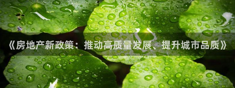 新宝5苹果手机下载：《房地产新政策：推动高质量发展、提升城市