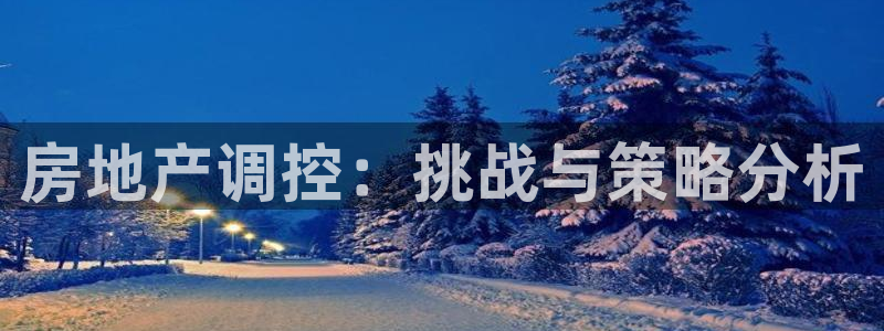 新宝股东王听2 5 5：房地产调控：挑战与策略分析