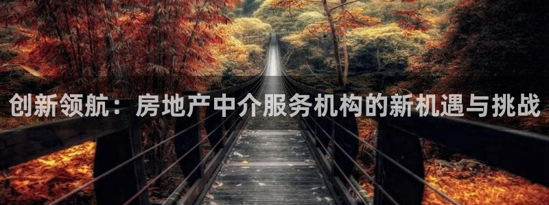 新宝b2O5O5O：创新领航：房地产中介服务机构的新机遇与挑