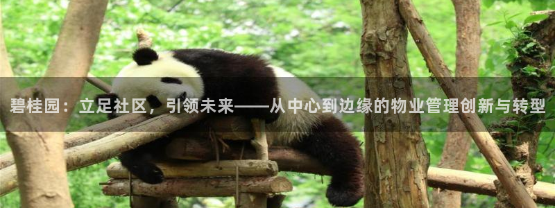 新宝5平台霸：碧桂园：立足社区，引领未来——从中心到边缘的物
