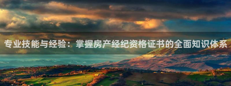 新宝5官方：专业技能与经验：掌握房产经纪资格证书的全面知识体