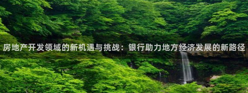 新宝集团新宝5：房地产开发领域的新机遇与挑战：银行助力地方经