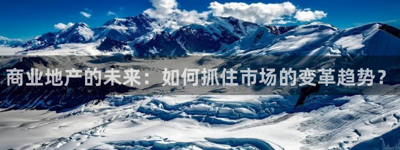 新宝堂新会陈皮5年：商业地产的未来：如何抓住市场的变革趋势？