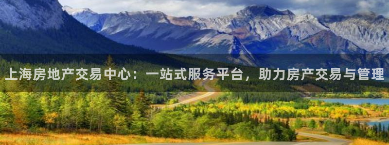 新宝新5：上海房地产交易中心：一站式服务平台，助力房产交易与