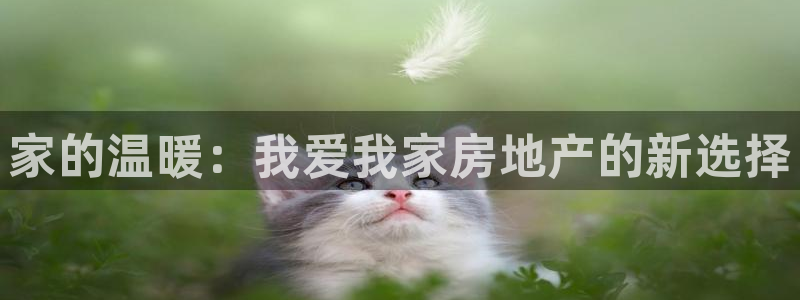新宝5黑：家的温暖：我爱我家房地产的新选择