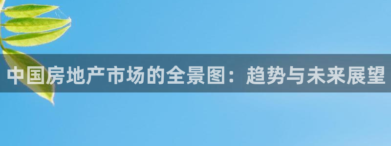 新宝5湫333 00：中国房地产市场的全景图：趋势与未来展望