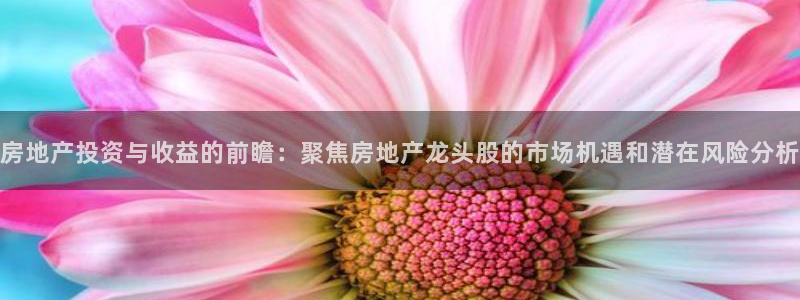 新宝5是什么：房地产投资与收益的前瞻：聚焦房地产龙头股的市场