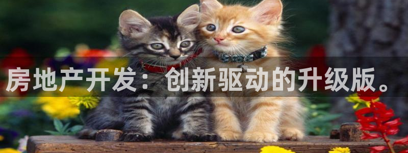 新宝测速5：房地产开发：创新驱动的升级版。
