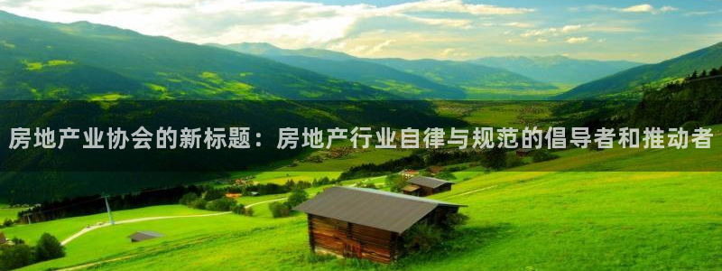 新宝股东瞧听2 5 5：房地产业协会的新标题：房地产行业自律