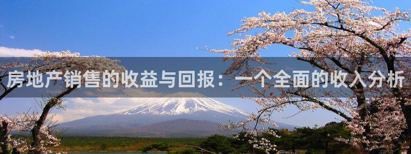 新宝5测速线路：房地产销售的收益与回报：一个全面的收入分析
