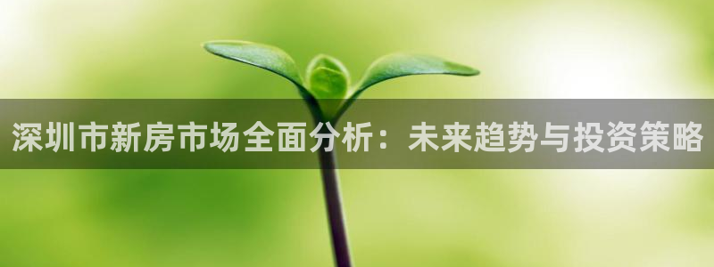 新宝5登录：深圳市新房市场全面分析：未来趋势与投资策略