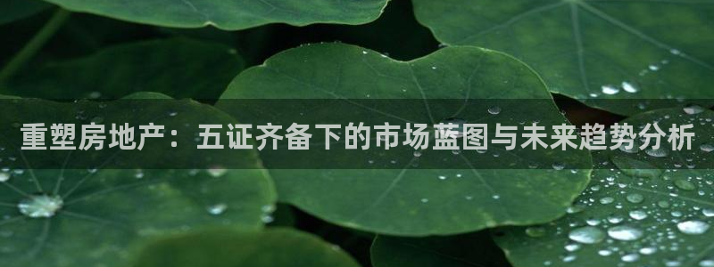 新宝5招商222111：重塑房地产：五证齐备下的市场蓝图与未
