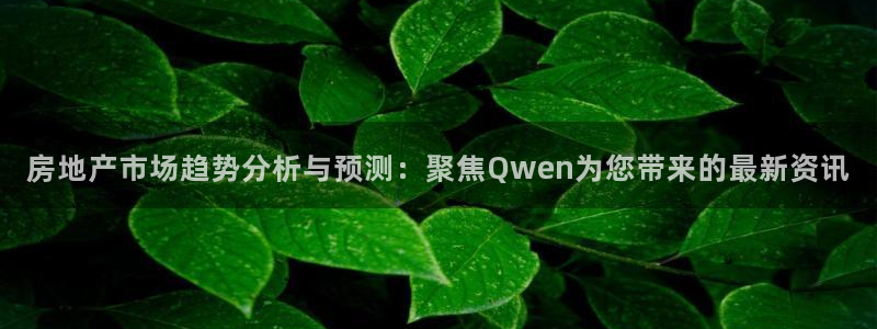 新宝5浗维33 300：房地产市场趋势分析与预测：聚焦Qwe