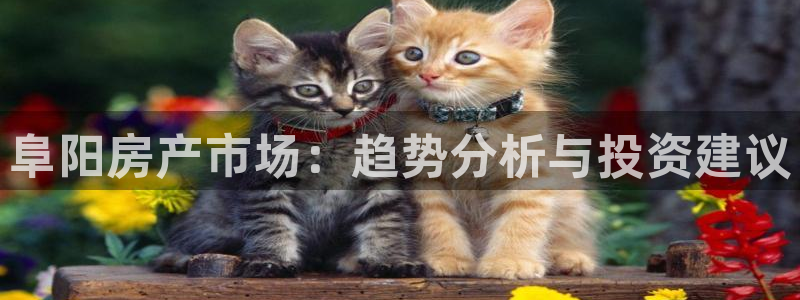 新宝5平台登录：阜阳房产市场：趋势分析与投资建议