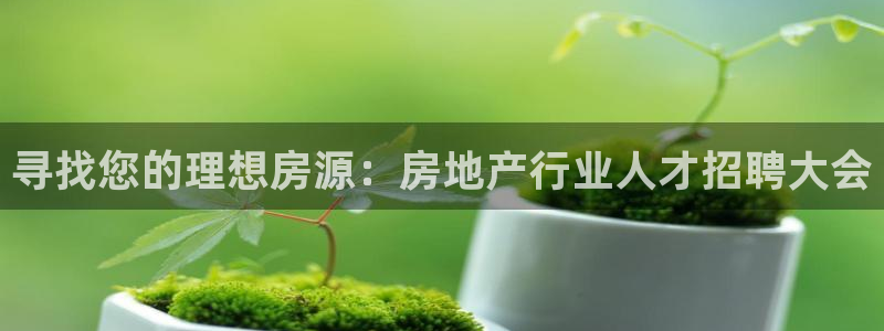 新宝5 888：寻找您的理想房源：房地产行业人才招聘大会