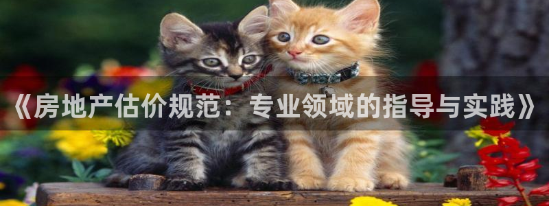 p5r新宝魔：《房地产估价规范：专业领域的指导与实践》