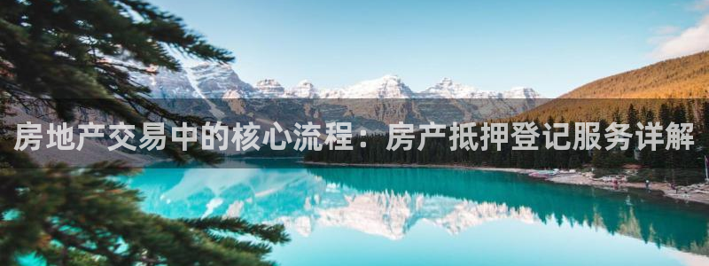 新宝5招商：房地产交易中的核心流程：房产抵押登记服务详解