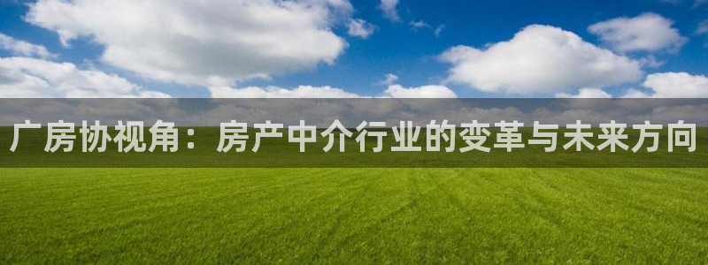 新宝5骗术：广房协视角：房产中介行业的变革与未来方向