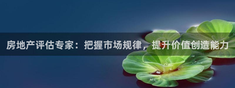 新宝5秒开：房地产评估专家：把握市场规律，提升价值创造能力