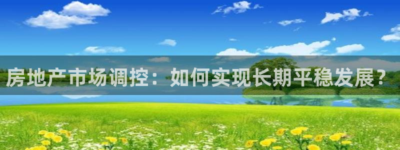 新宝5后：房地产市场调控：如何实现长期平稳发展？