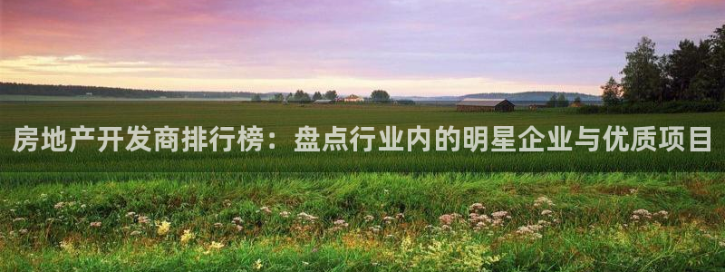 新宝那2O5O5O：房地产开发商排行榜：盘点行业内的明星企业